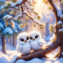 Load image into Gallery viewer, Diamond Painting - Full Round - two owls (30*30CM)
