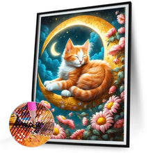 Load image into Gallery viewer, Diamond Painting - Full Round - sleeping cat (30*40CM)
