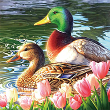 Load image into Gallery viewer, Diamond Painting - Full Round - Ducks in the pond (30*30CM)
