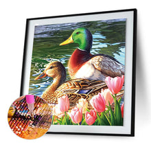 Load image into Gallery viewer, Diamond Painting - Full Round - Ducks in the pond (30*30CM)
