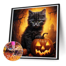 Load image into Gallery viewer, Diamond Painting - Full Round - black cat (30*30CM)
