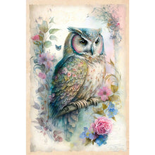 Load image into Gallery viewer, Diamond Painting - Full Round - resident owl (40*60CM)
