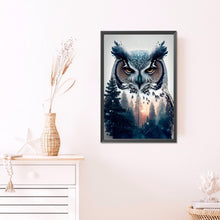 Load image into Gallery viewer, AB Diamond Painting - Full Round - owl (40*60CM)
