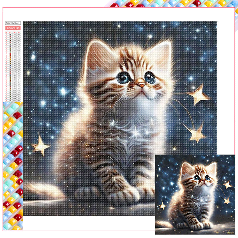 Diamond Painting - Full Square - starlight cat (30*30CM)