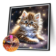 Load image into Gallery viewer, Diamond Painting - Full Square - starlight cat (30*30CM)
