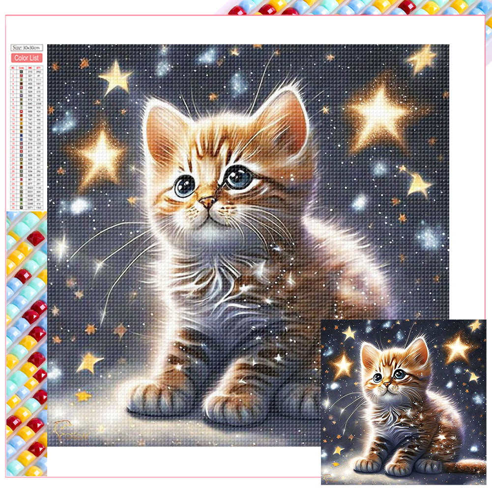 Diamond Painting - Full Square - starlight cat (30*30CM)