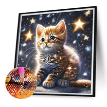 Load image into Gallery viewer, Diamond Painting - Full Square - starlight cat (30*30CM)

