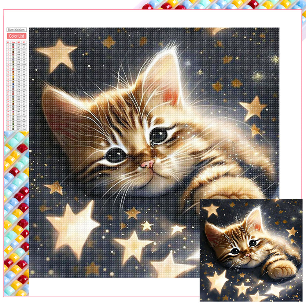 Diamond Painting - Full Square - starlight cat (30*30CM)