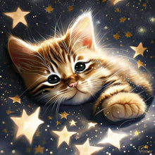 Load image into Gallery viewer, Diamond Painting - Full Square - starlight cat (30*30CM)
