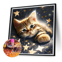 Load image into Gallery viewer, Diamond Painting - Full Square - starlight cat (30*30CM)
