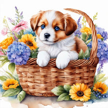 Load image into Gallery viewer, Diamond Painting - Full Round - dog in flower basket (30*30CM)

