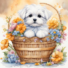 Load image into Gallery viewer, Diamond Painting - Full Round - dog in basket (30*30CM)
