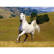 Load image into Gallery viewer, Diamond Painting - Full Round - horse (40*30CM)

