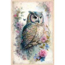 Load image into Gallery viewer, Diamond Painting - Full Square - owl (40*60CM)
