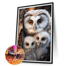 Load image into Gallery viewer, Diamond Painting - Full Round - Mother owl and baby owl (30*45CM)
