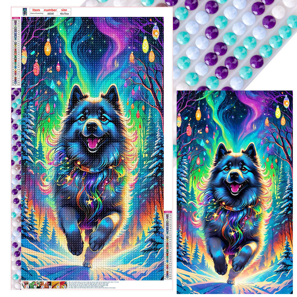 Diamond Painting - Full Round - Erha running under the aurora (40*70CM)