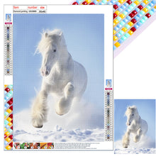 Load image into Gallery viewer, Diamond Painting - Full Square - white horse (30*40CM)
