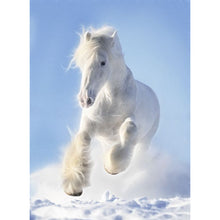 Load image into Gallery viewer, Diamond Painting - Full Square - white horse (30*40CM)
