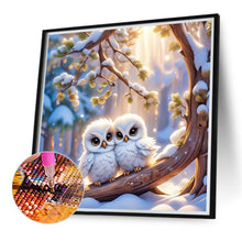 Load image into Gallery viewer, Diamond Painting - Full Round - Two baby owls (40*40CM)
