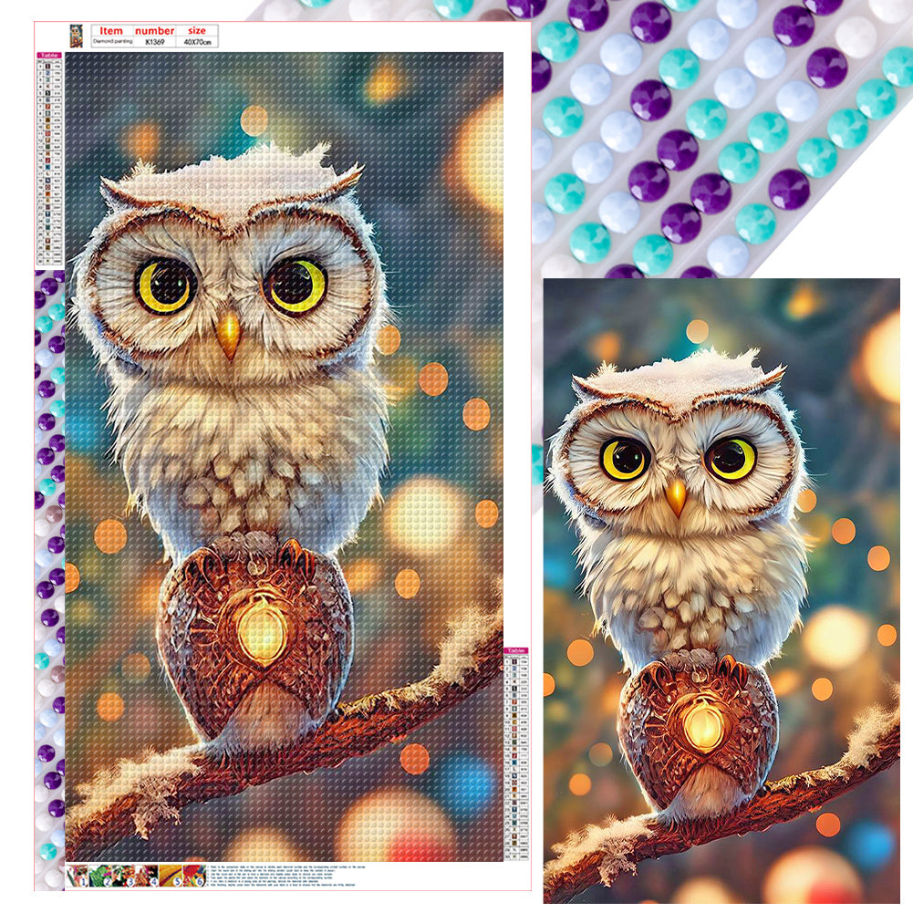 Diamond Painting - Full Round - big eyed owl (40*70CM)