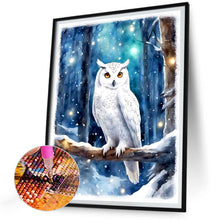 Load image into Gallery viewer, Diamond Painting - Full Round - owl (30*40CM)
