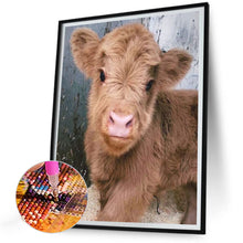 Load image into Gallery viewer, Diamond Painting - Full Round - Highland baby calf (30*40CM)
