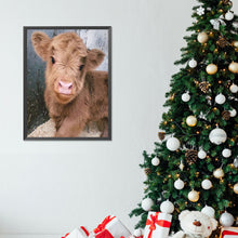 Load image into Gallery viewer, Diamond Painting - Full Round - Highland baby calf (30*40CM)
