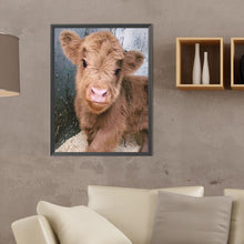 Load image into Gallery viewer, Diamond Painting - Full Round - Highland baby calf (30*40CM)
