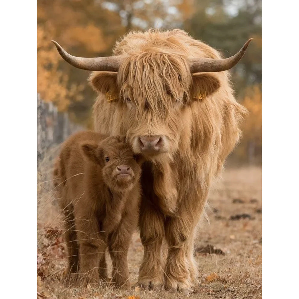 Diamond Painting - Full Round - scottish highland cattle (30*40CM)
