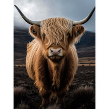 Load image into Gallery viewer, Diamond Painting - Full Round - scottish highland cattle (30*40CM)
