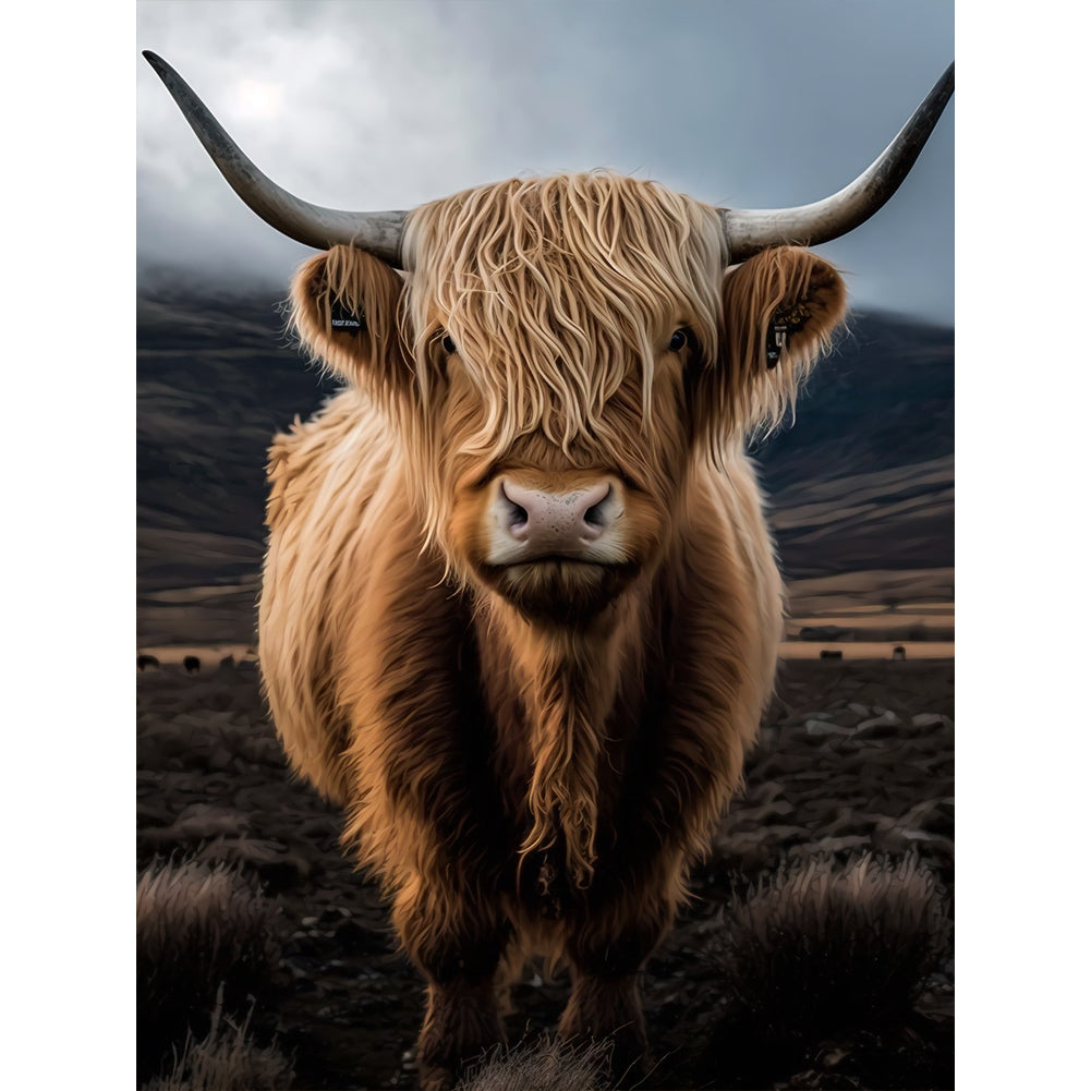 Diamond Painting - Full Round - scottish highland cattle (30*40CM)