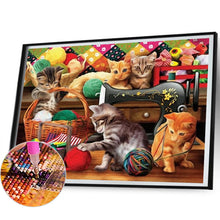 Load image into Gallery viewer, Diamond Painting - Full Square - cat (50*40CM)
