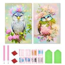 Load image into Gallery viewer, 2pcs Diamond Painting Set - Dressed up bird (40*60CM)
