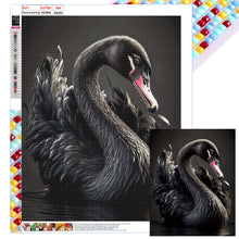 Load image into Gallery viewer, Diamond Painting - Full Square - Black Swan (40*50CM)
