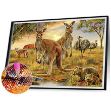Load image into Gallery viewer, Diamond Painting - Full Square - kangaroo (70*50CM)
