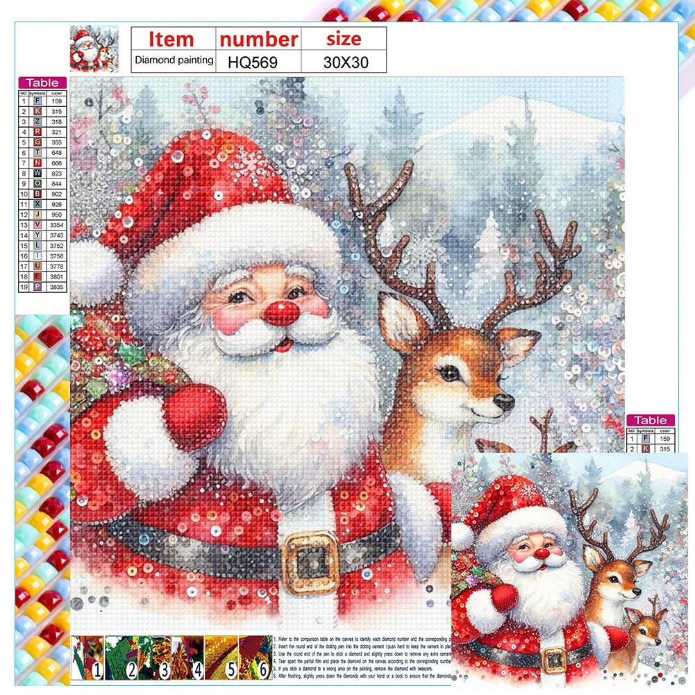 Diamond Painting - Full Square - Santa Claus travels (30*30CM)