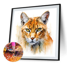 Load image into Gallery viewer, Diamond Painting - Full Round - cat (35*35CM)

