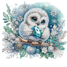 Load image into Gallery viewer, Diamond Painting - Partial Special Shaped - winter owl (30*30CM)
