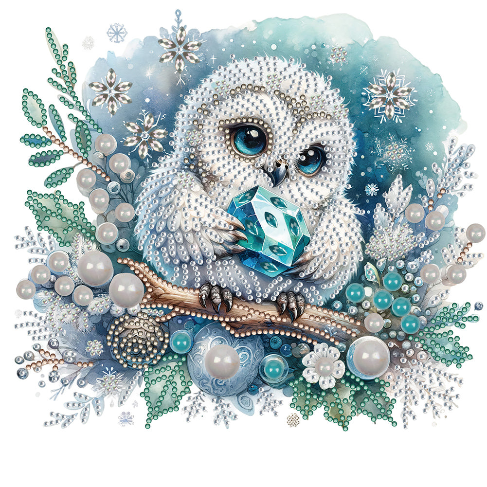 Diamond Painting - Partial Special Shaped - winter owl (30*30CM)