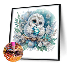 Load image into Gallery viewer, Diamond Painting - Partial Special Shaped - winter owl (30*30CM)
