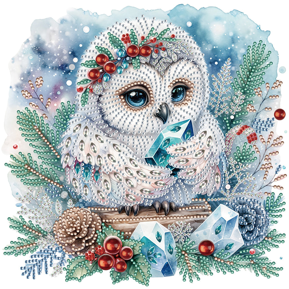 Diamond Painting - Partial Special Shaped - winter owl (30*30CM)
