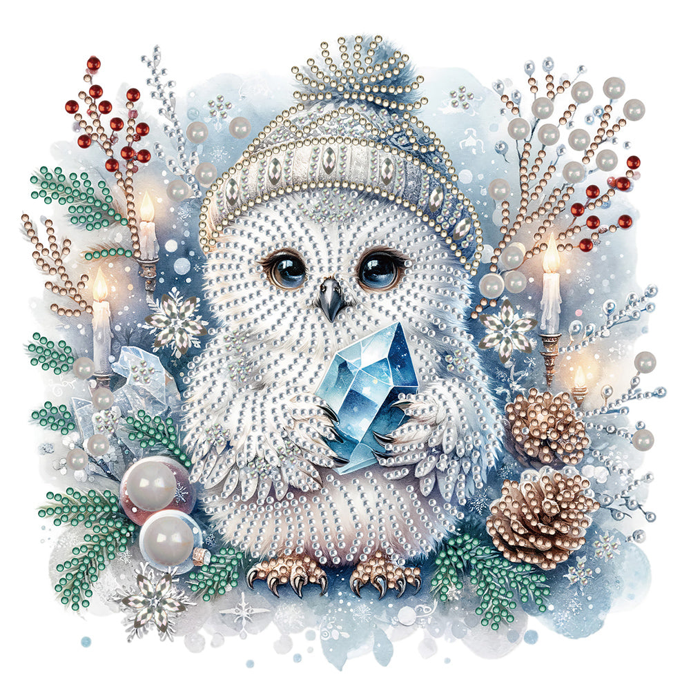 Diamond Painting - Partial Special Shaped - winter owl (30*30CM)