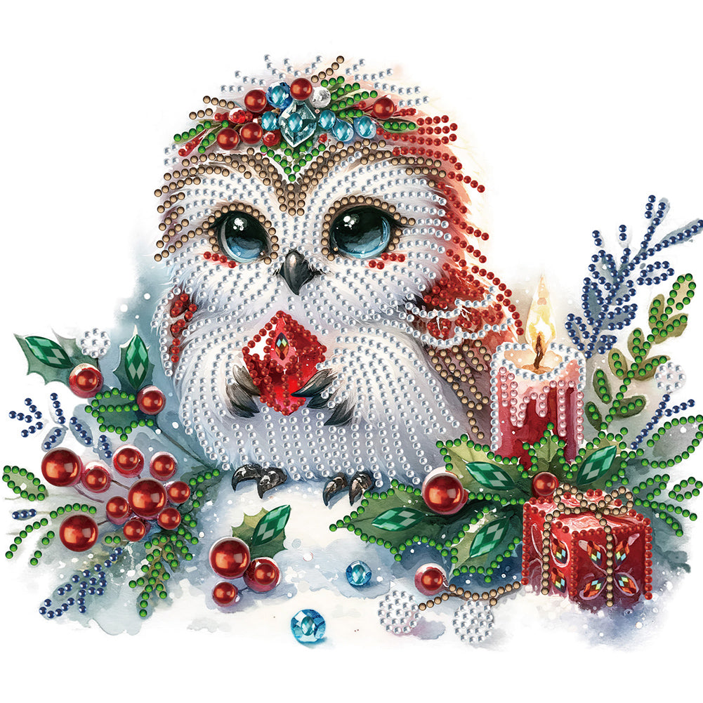 Diamond Painting - Partial Special Shaped - winter owl (30*30CM)