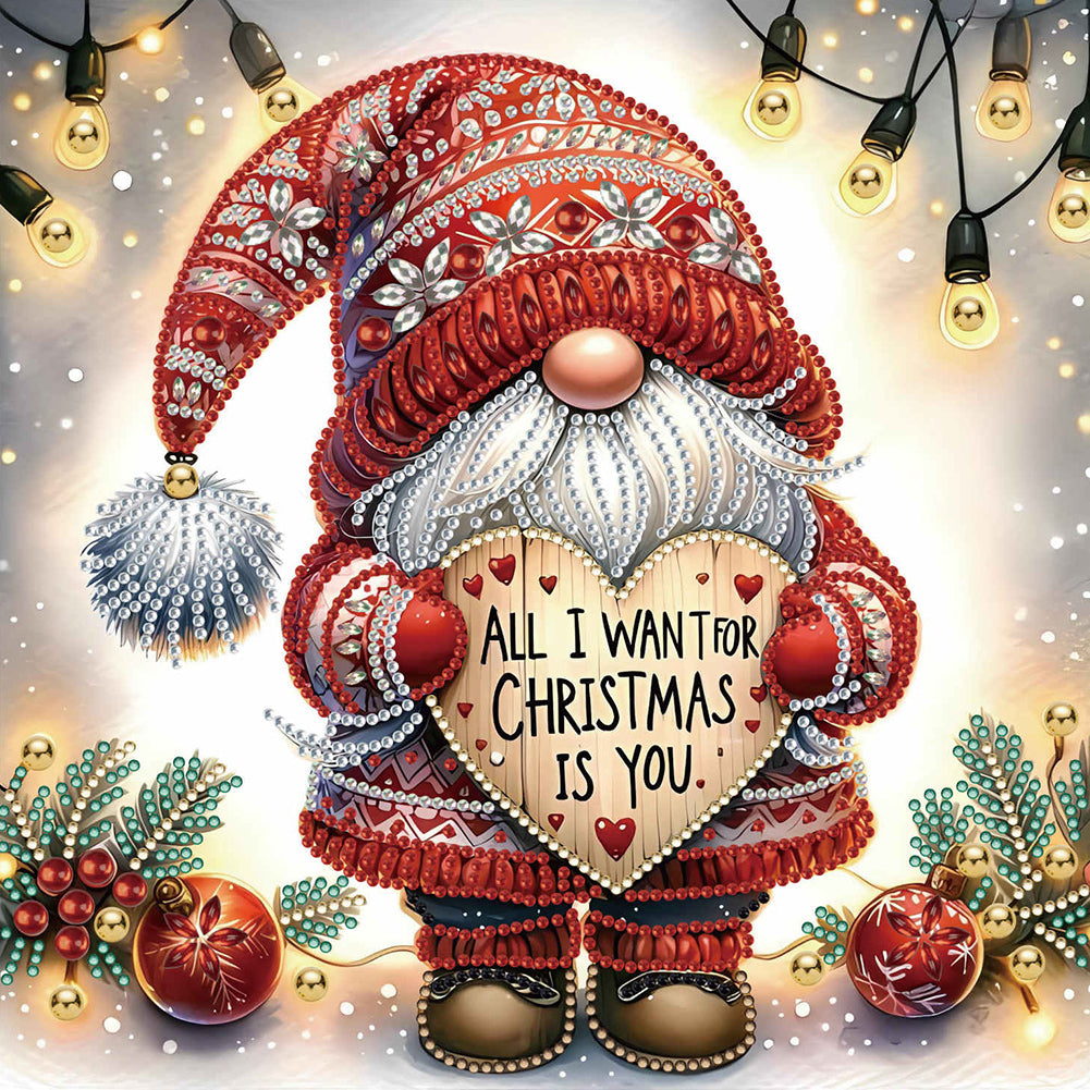 Diamond Painting - Partial Special Shaped - christmas gnome (30*30CM)