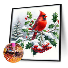 Load image into Gallery viewer, Diamond Painting - Full Round - cardinal on tree branch (40*40CM)
