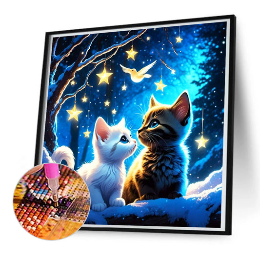 Diamond Painting - Full Round - star cat (50*50CM)