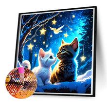 Load image into Gallery viewer, Diamond Painting - Full Round - star cat (50*50CM)

