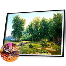 Load image into Gallery viewer, Diamond Painting - Full Square - Grove (50*40CM)
