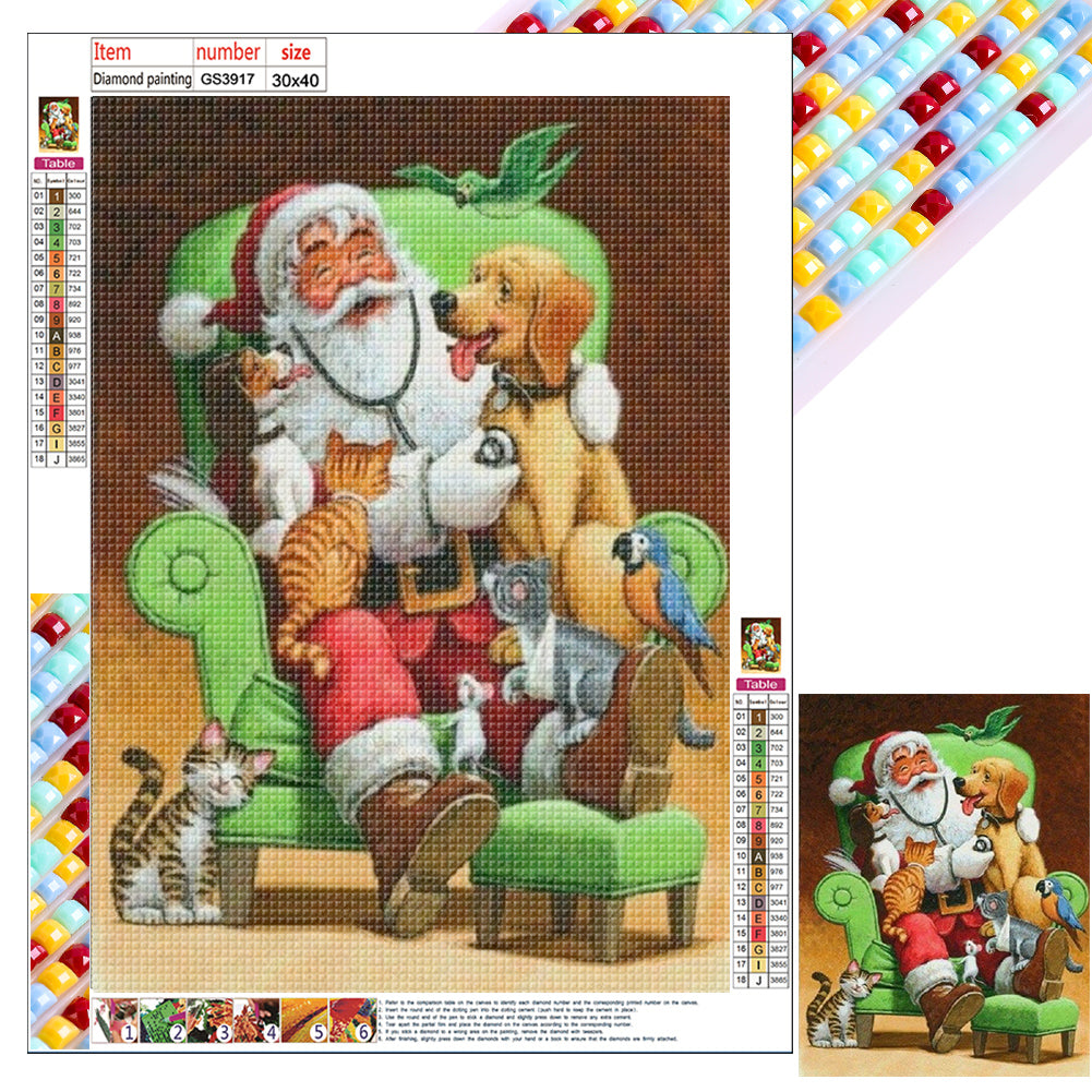 Diamond Painting - Full Square - Santa Claus (30*40CM)