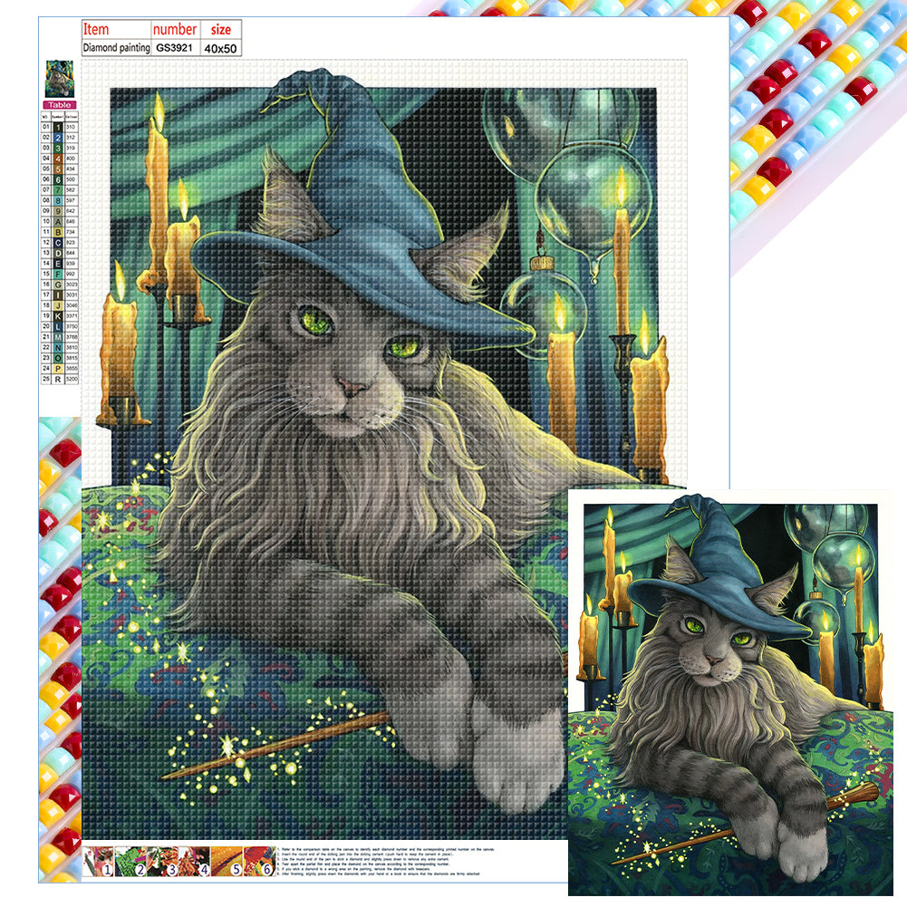 Diamond Painting - Full Square - witch cat (40*50CM)